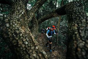 BIB: 
                            <button type="button" onclick="openModal(25392524)" class="btn btn-primary btn-sm float-right btn-popup" data-toggle="modal" data-target=".modal-high-quality">
                        <i class="fas fa-shopping-cart"></i> Add to Cart
                    </button>
                                            <button type="button" onclick="isThisMe(25392524, true)" class="btn btn-success btn-sm float-right btn-popup btn-isme hidden" data-toggle="tooltip" data-placement="bottom" title="นี่คือรูปของคุณใช่ไหม คลิกที่นี่เพื่อเอาเข้าอัลบั้ม">
                        <i class="fas fa-plus"></i> Add to album
                    </button>
                    <button type="button" onclick="isThisMe(25392524, false)" class="btn btn-warning btn-sm float-right btn-popup btn-isnotme hidden">
                        <i class="fas fa-ban"></i> Remove from album
                    </button>